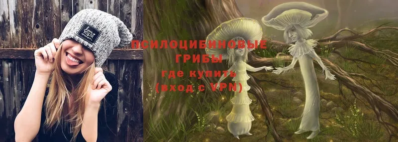 Галлюциногенные грибы Magic Shrooms  hydra   Борисоглебск  закладка 